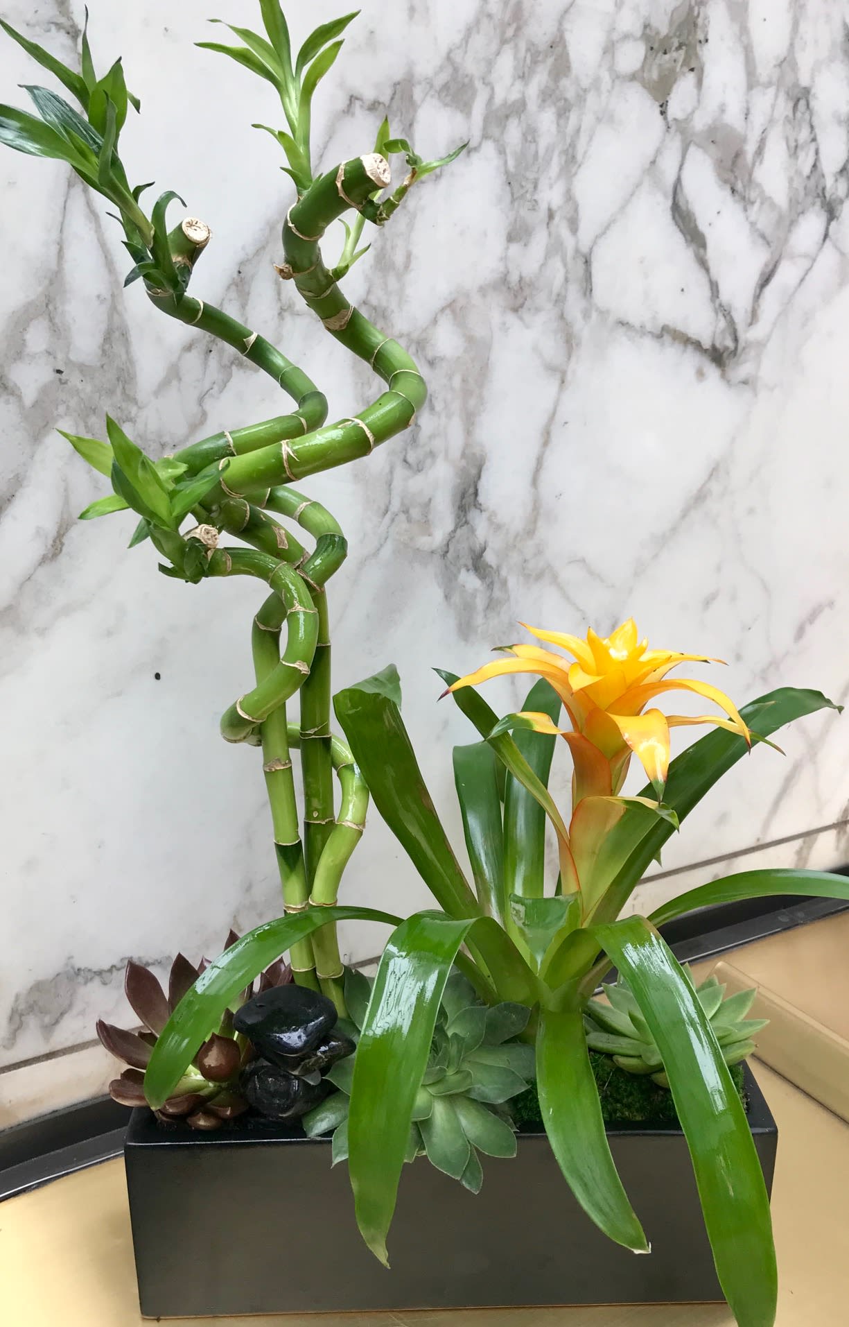 Zen Garden in Los Angeles, CA | Downtown Flowers