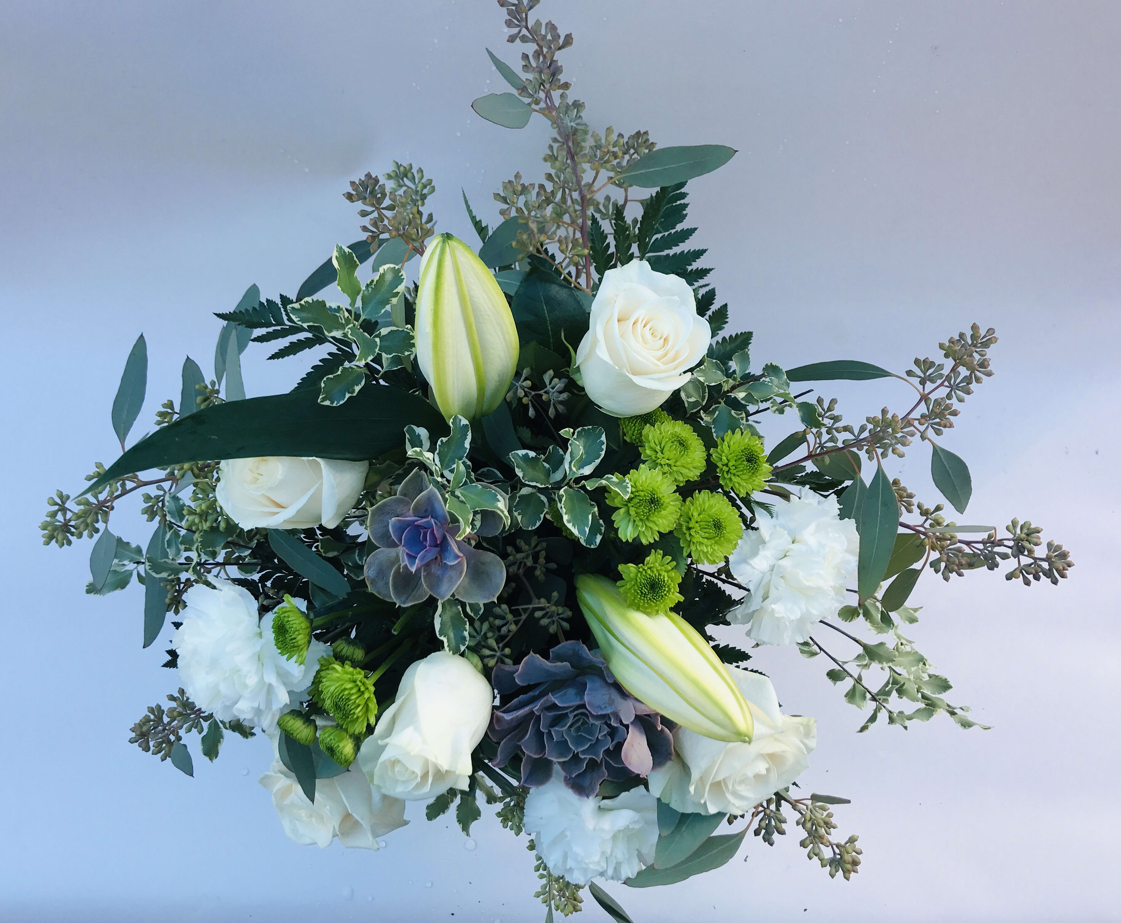 Blissful Desert Garden in Escondido, CA Carousel of Flowers