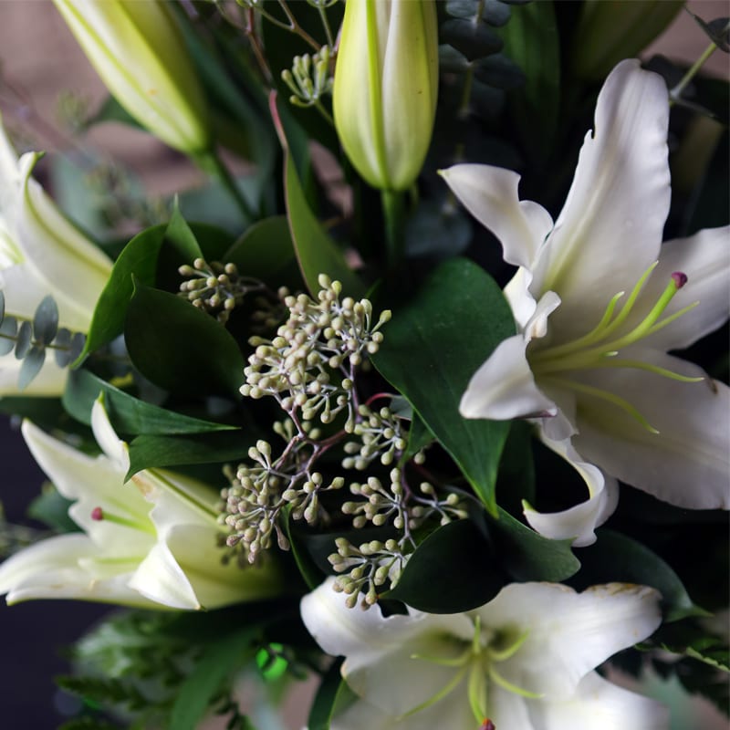 ELEGANT CASABLANCA LILIES in Brookline, MA Albert's of Brookline Florist