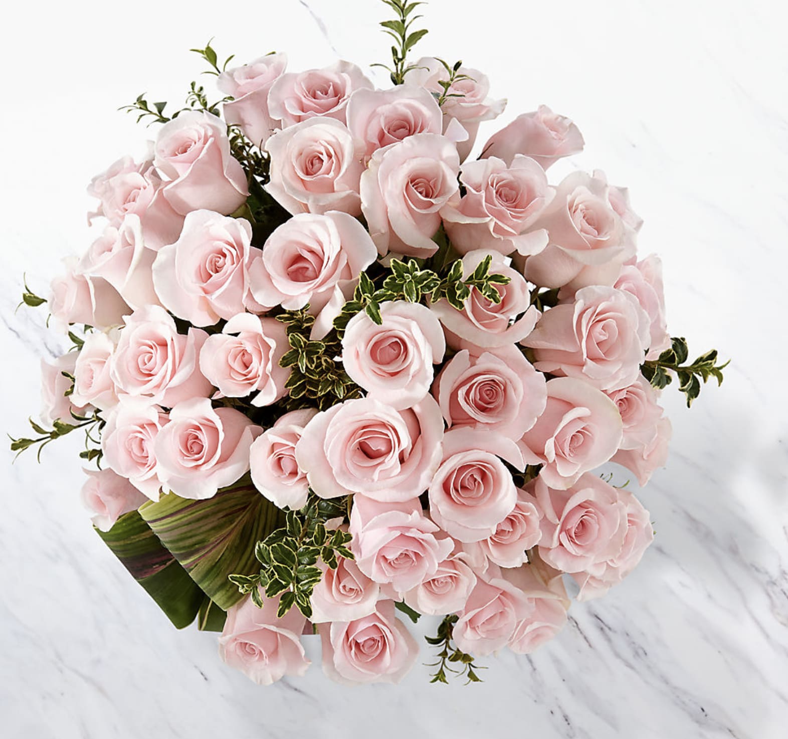 Delighted Luxury Rose Bouquet 48 Premium Long Stemmed Roses In Brooklyn Ny The Avenue J Florist 9183