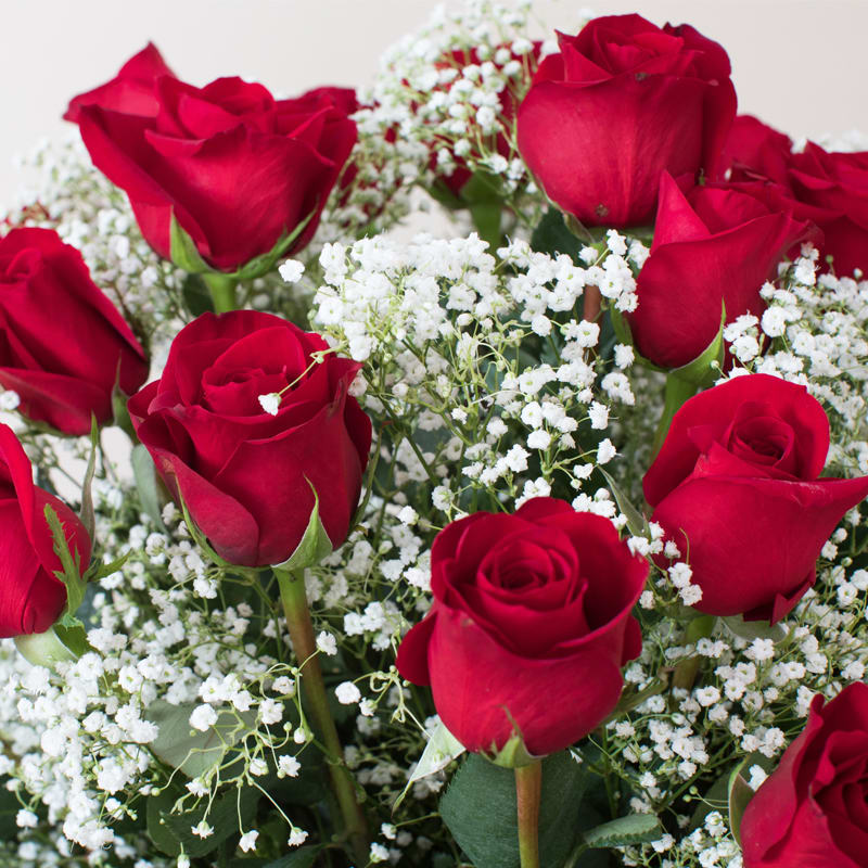 A beautifully arranged masterpiece of two dozen premium South American red roses
