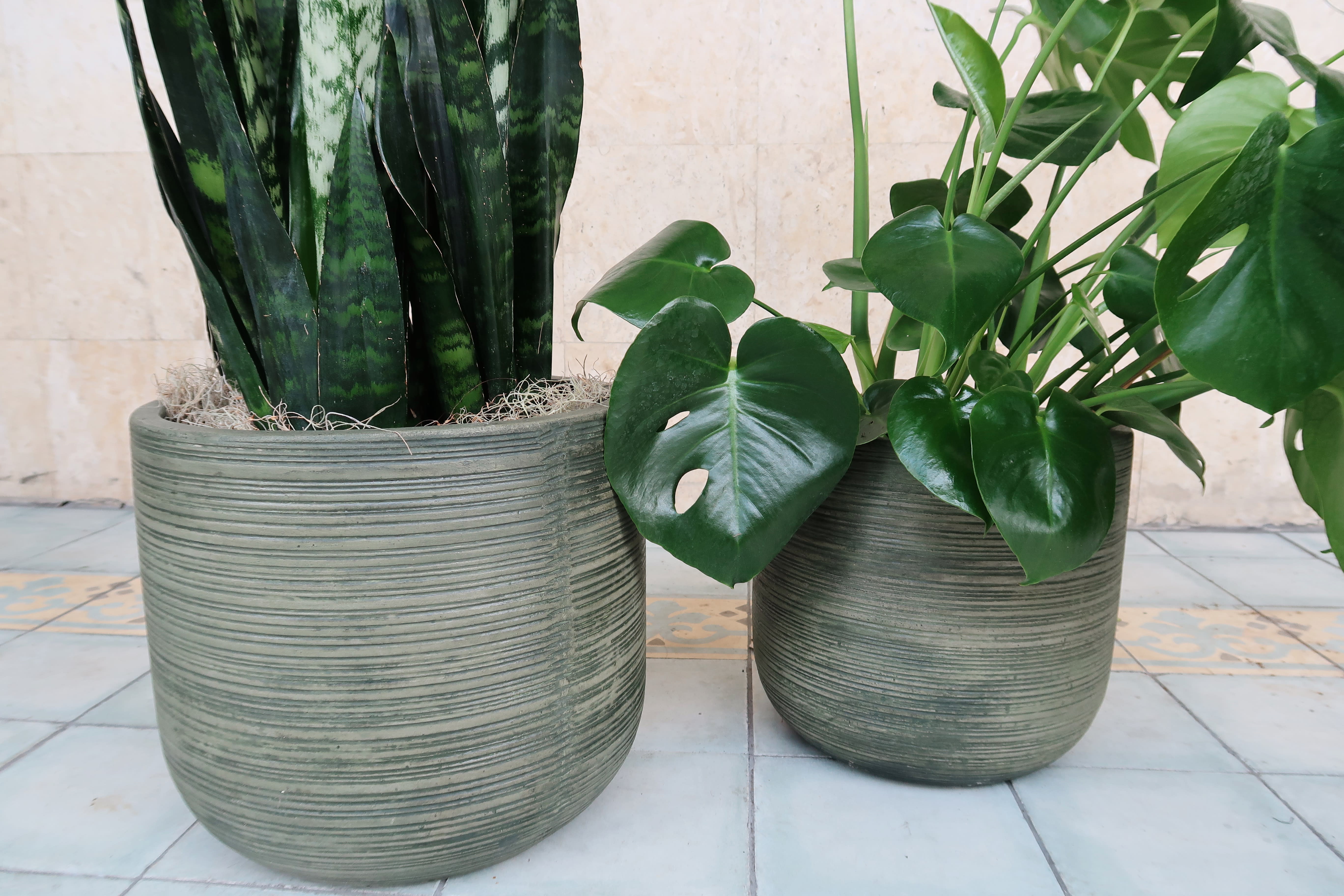Green Cement Pots in Miami, FL Avant Gardens