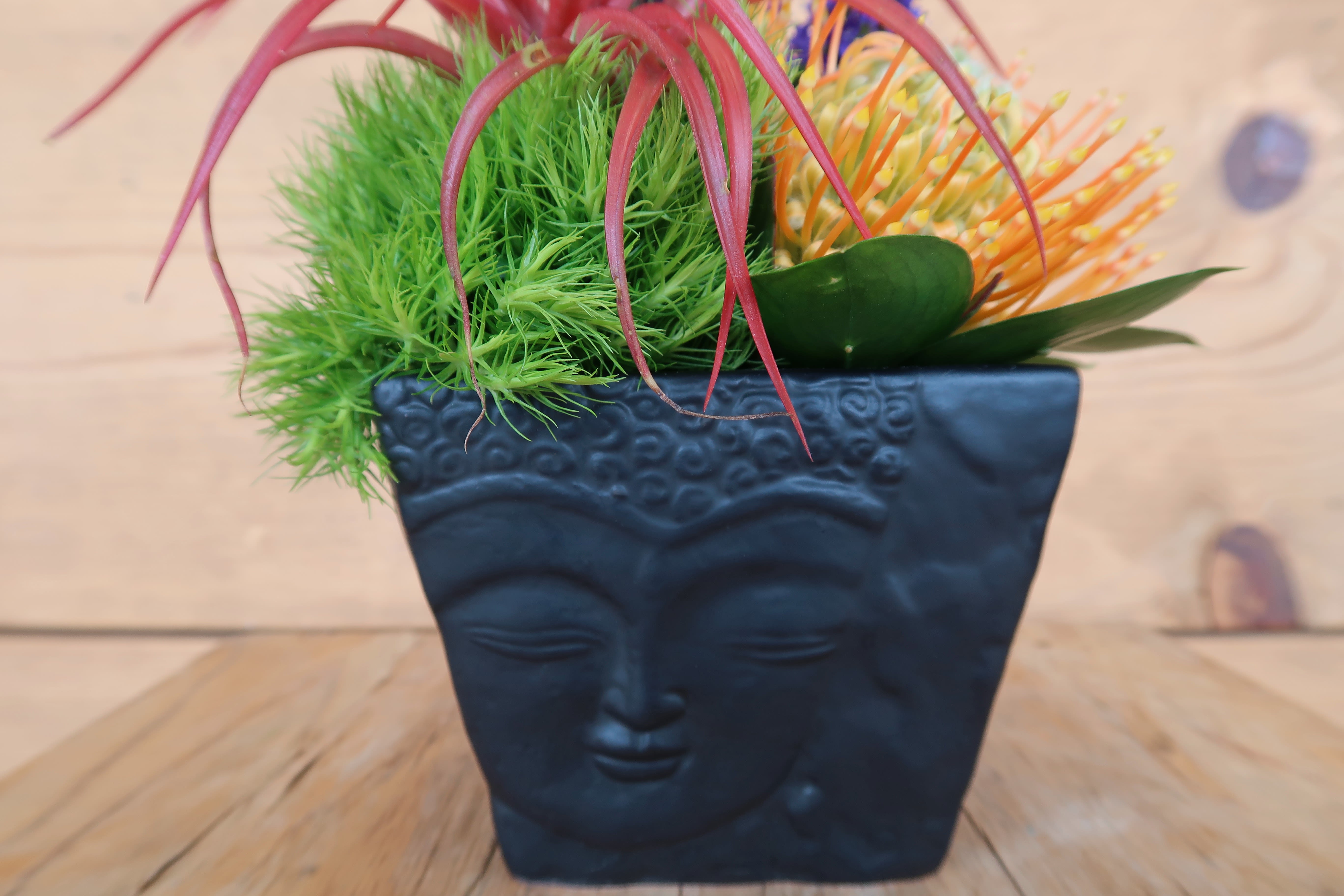 Buddha Zen in Miami, FL | Avant Gardens
