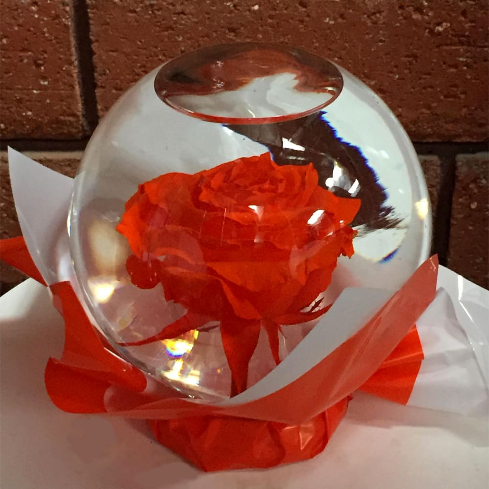 Submerged Rose Globe in San Diego, CA | House of Stemms