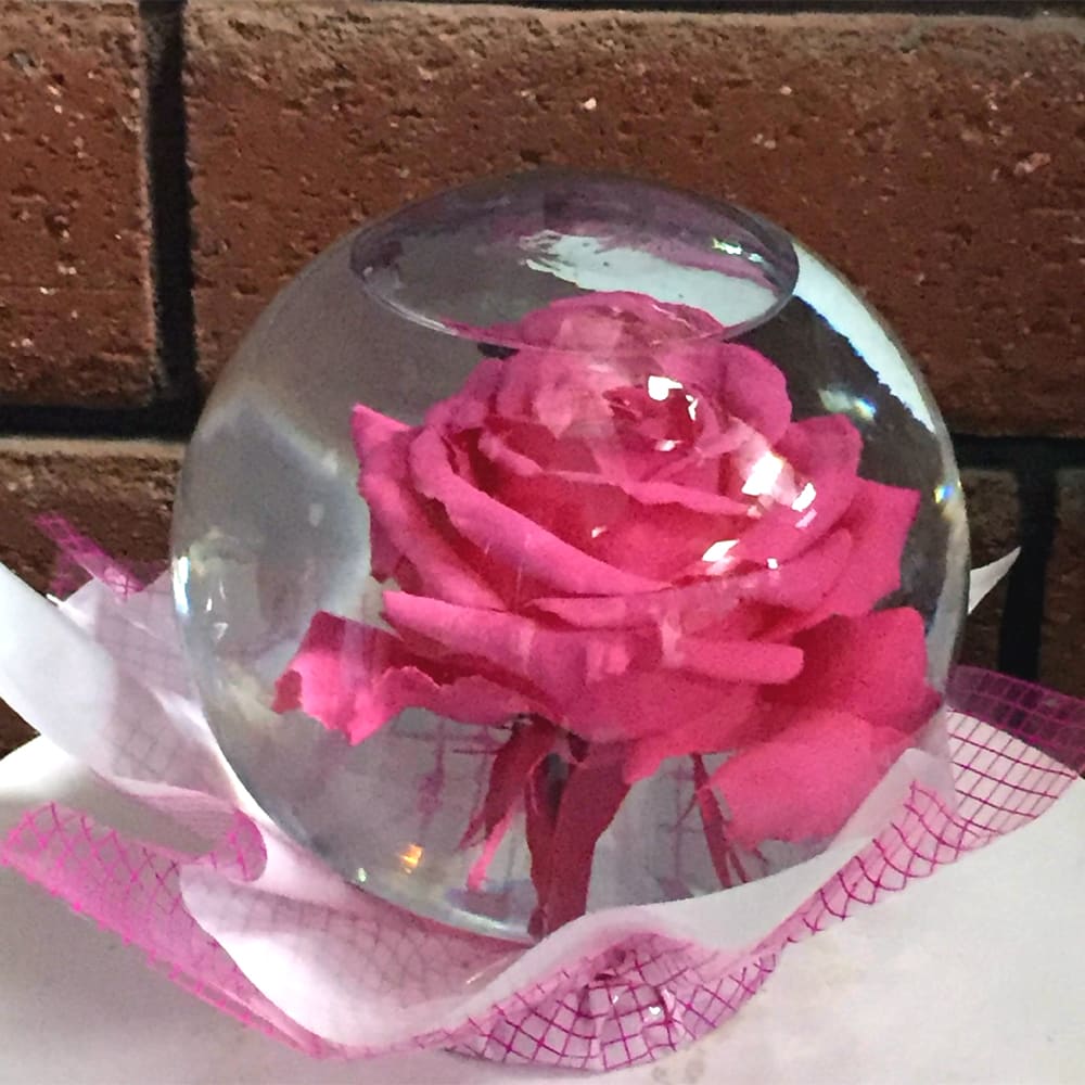 Submerged Rose Globe in San Diego, CA House of Stemms