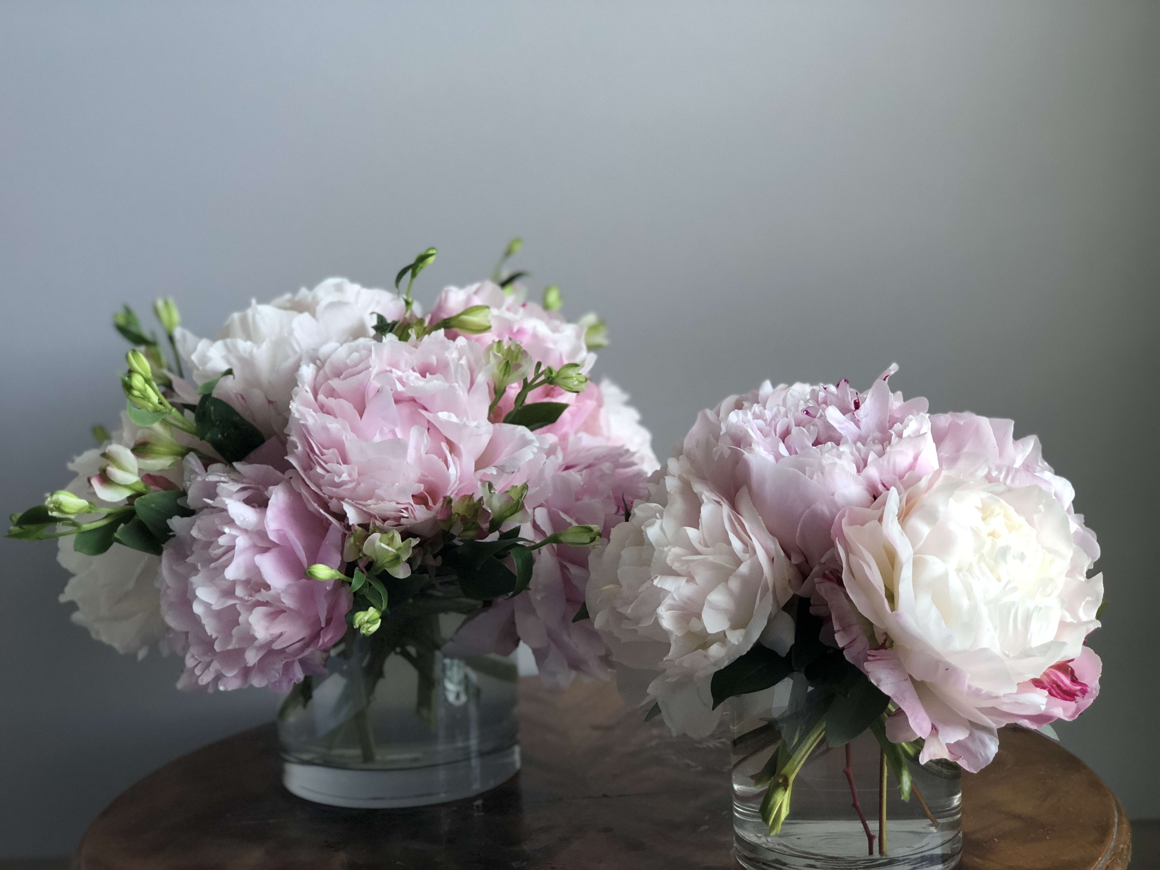 Peony in Austin, TX Loose Leaf Florist