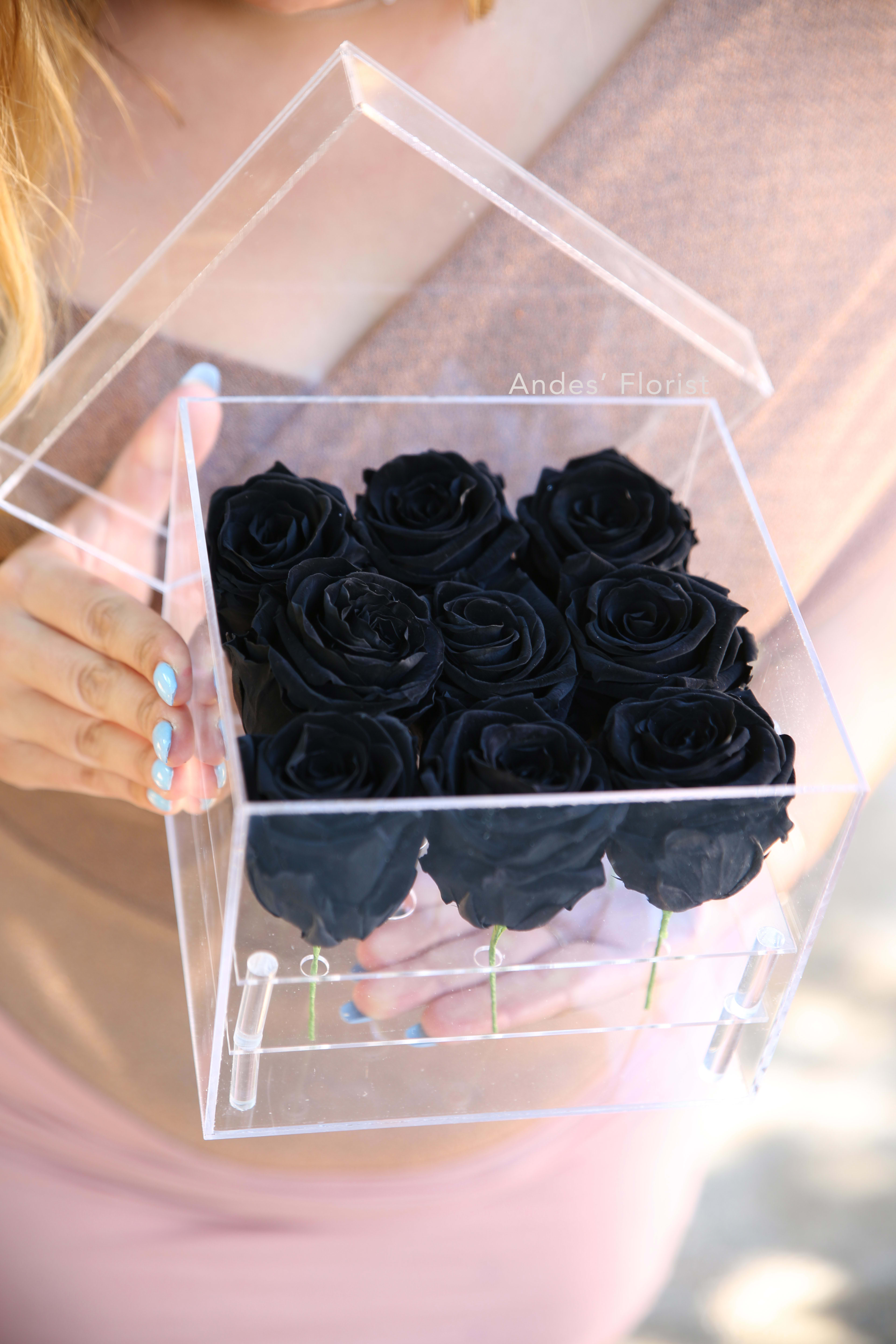 Small Clear Case 9 Everlasting Roses in Black in Torrance, CA Andes