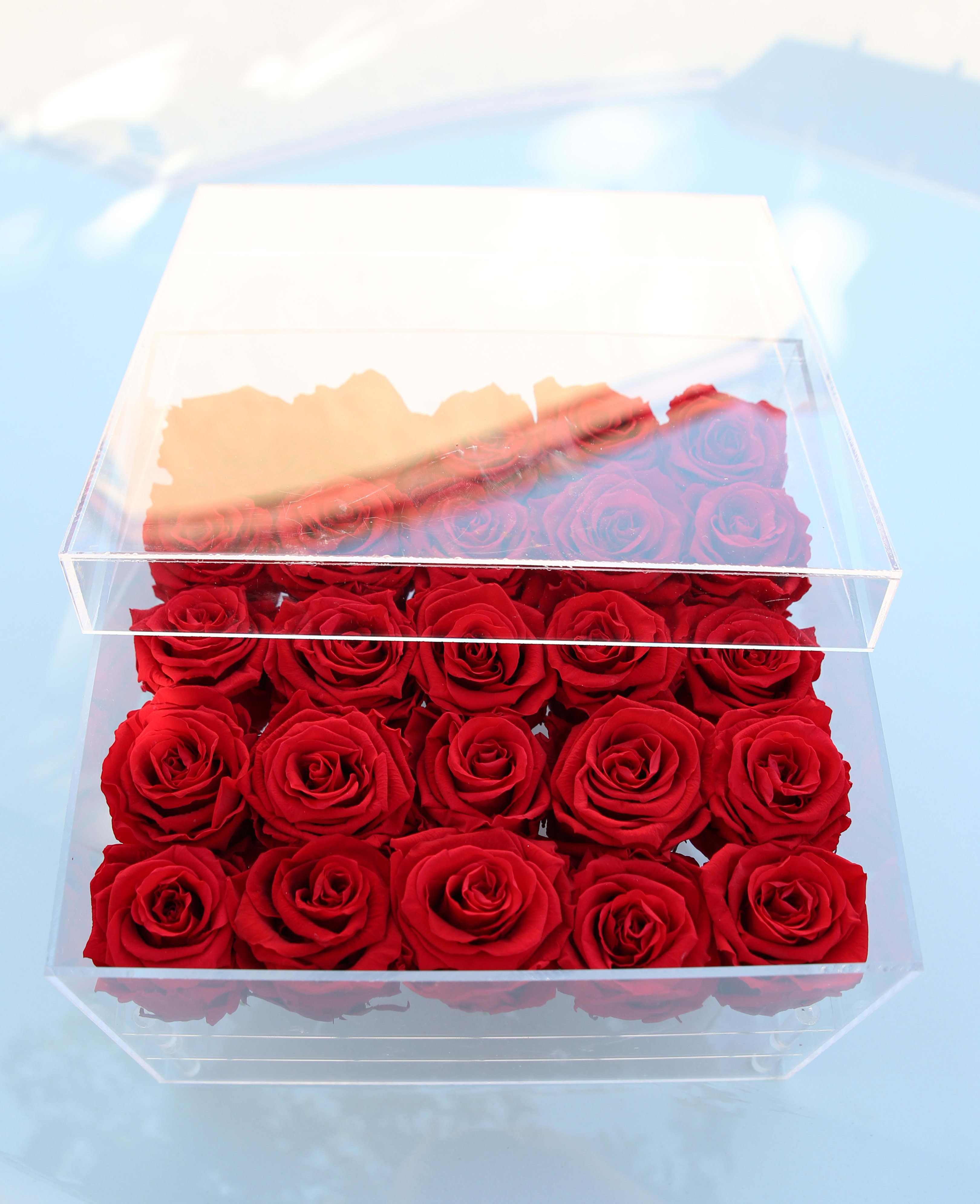 Large Clear Case 25 Everlasting Roses in Ruby Red in Torrance, CA
