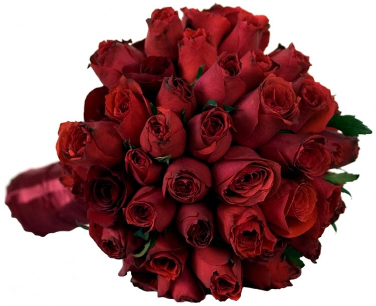 Ecuadorian Roses Bridal Bouquet in San Diego, CA | House ...