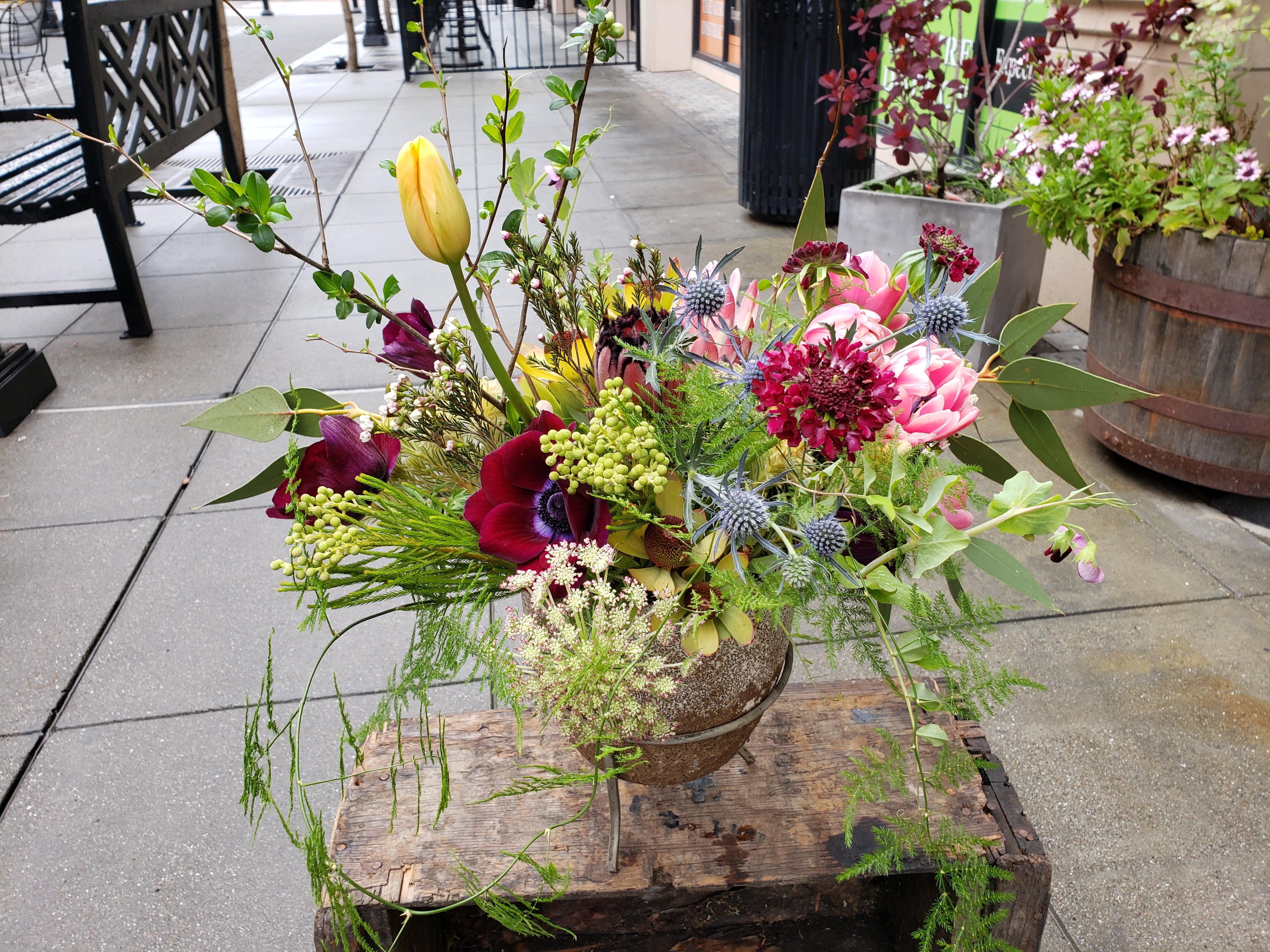 Gardeners Delight in Petaluma, CA Flower Casita