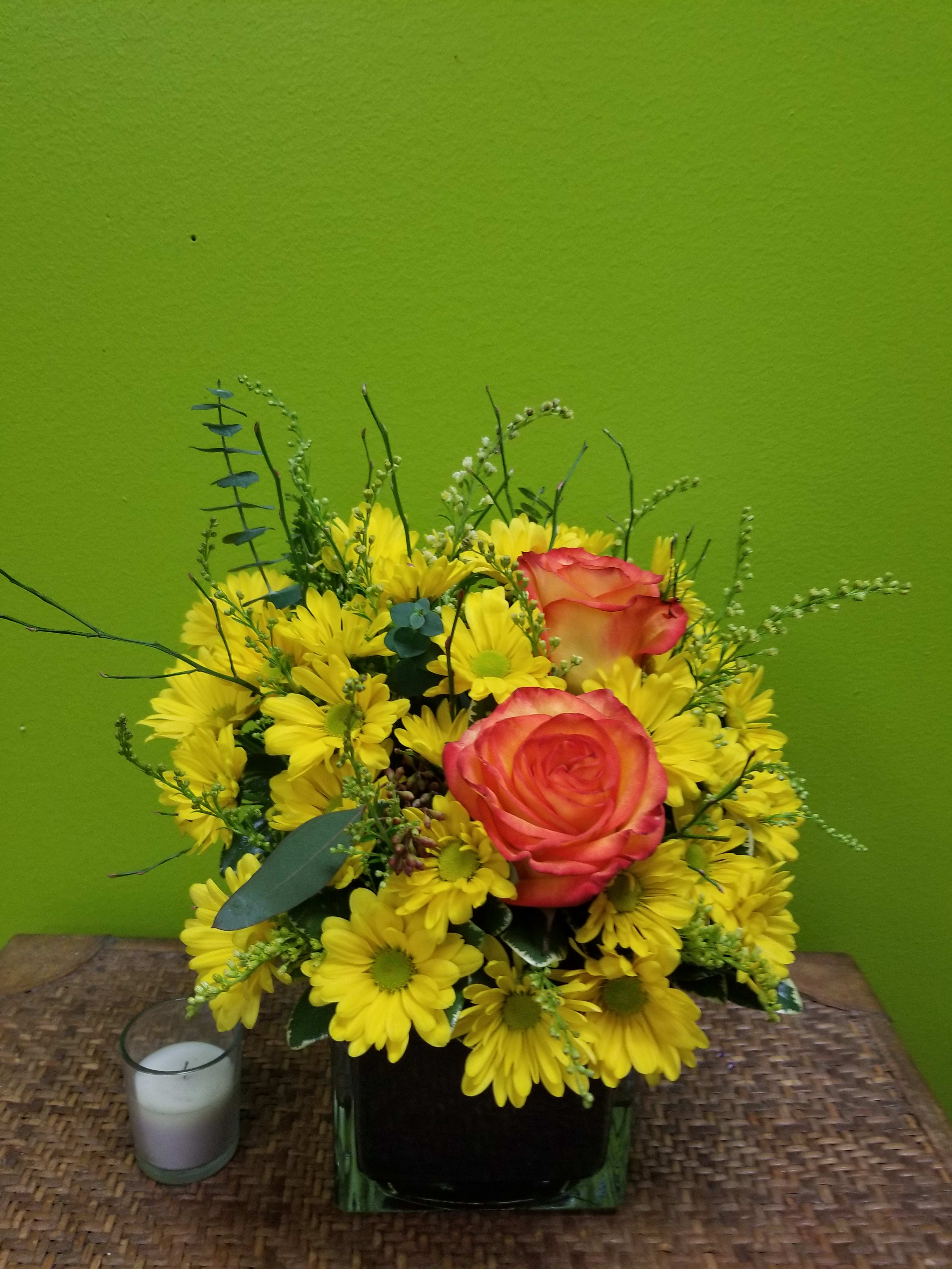 Daisy Delight in Appleton, WI | Charles The Florist of ...