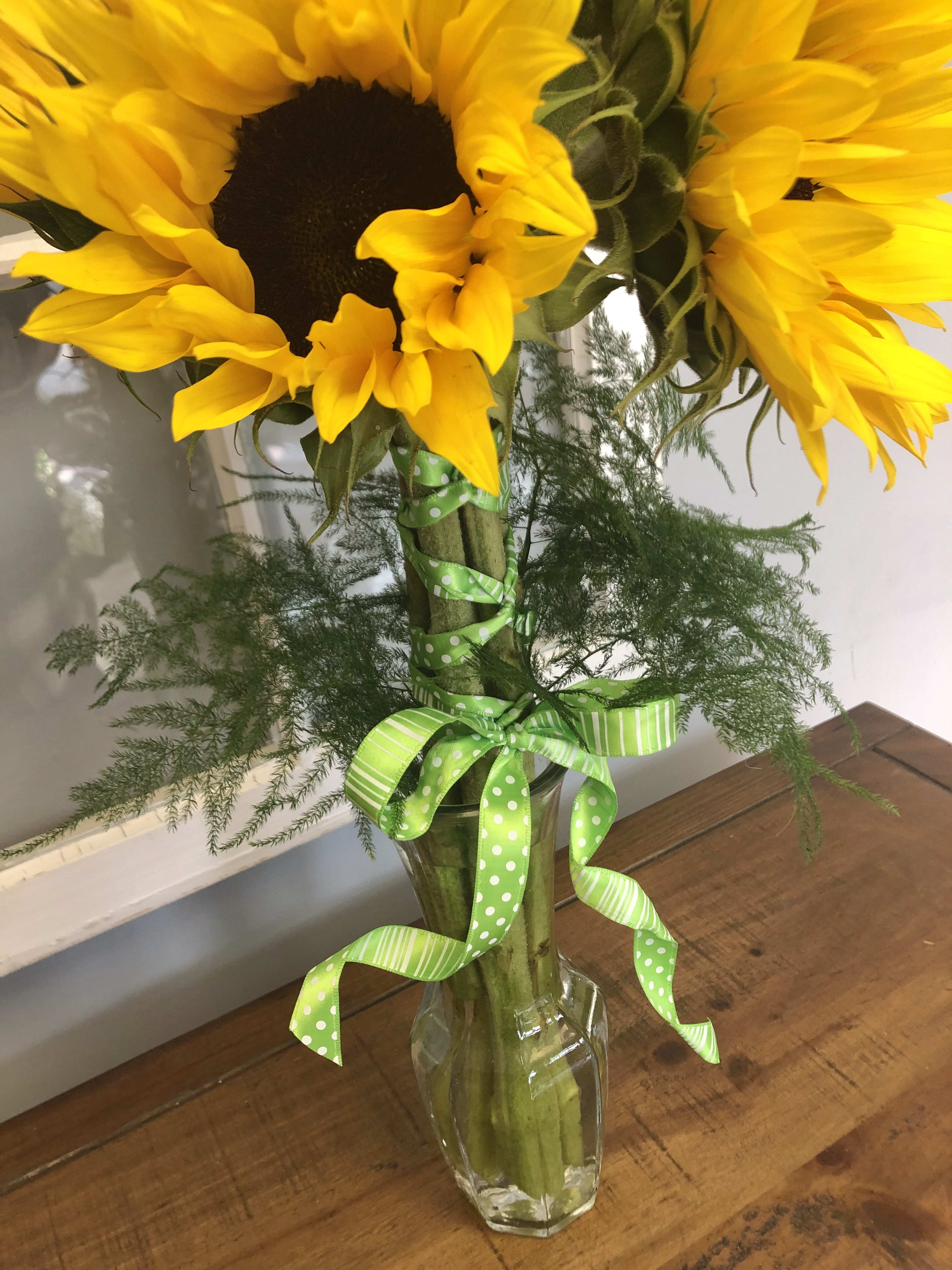 Sunflowers in Murfreesboro, TN | Enchanted Flower Shop