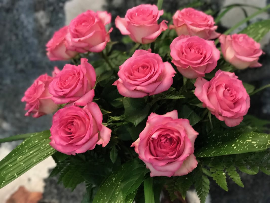 Rose, Medium Stem, Dozen Pink Arranged in Fort Lauderdale ...