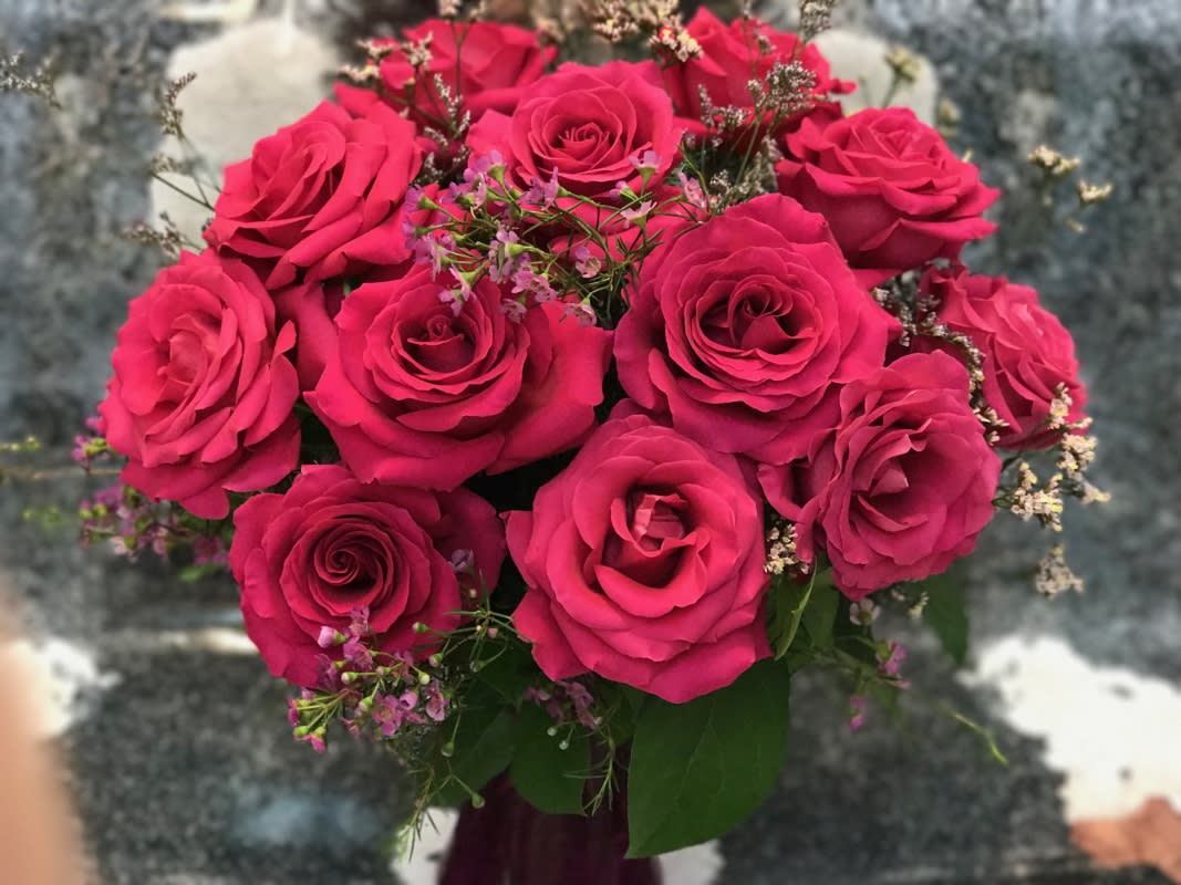 Roses, Dozen Medium Stem, Hot Pink, Arranged & Dressed in ...