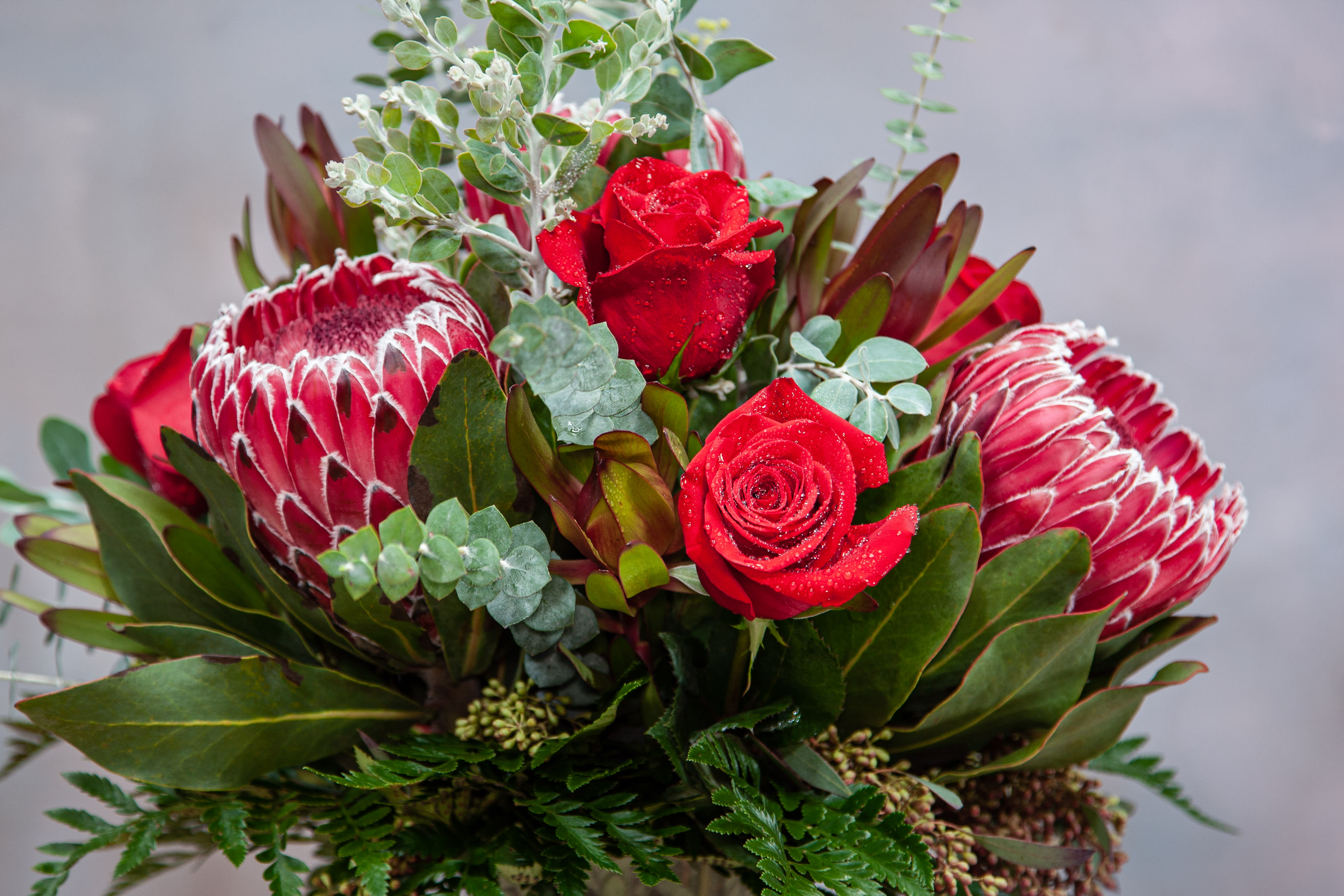 Protea and Rose Arrangement (SF317) in Claremont, CA Sherwood Florist