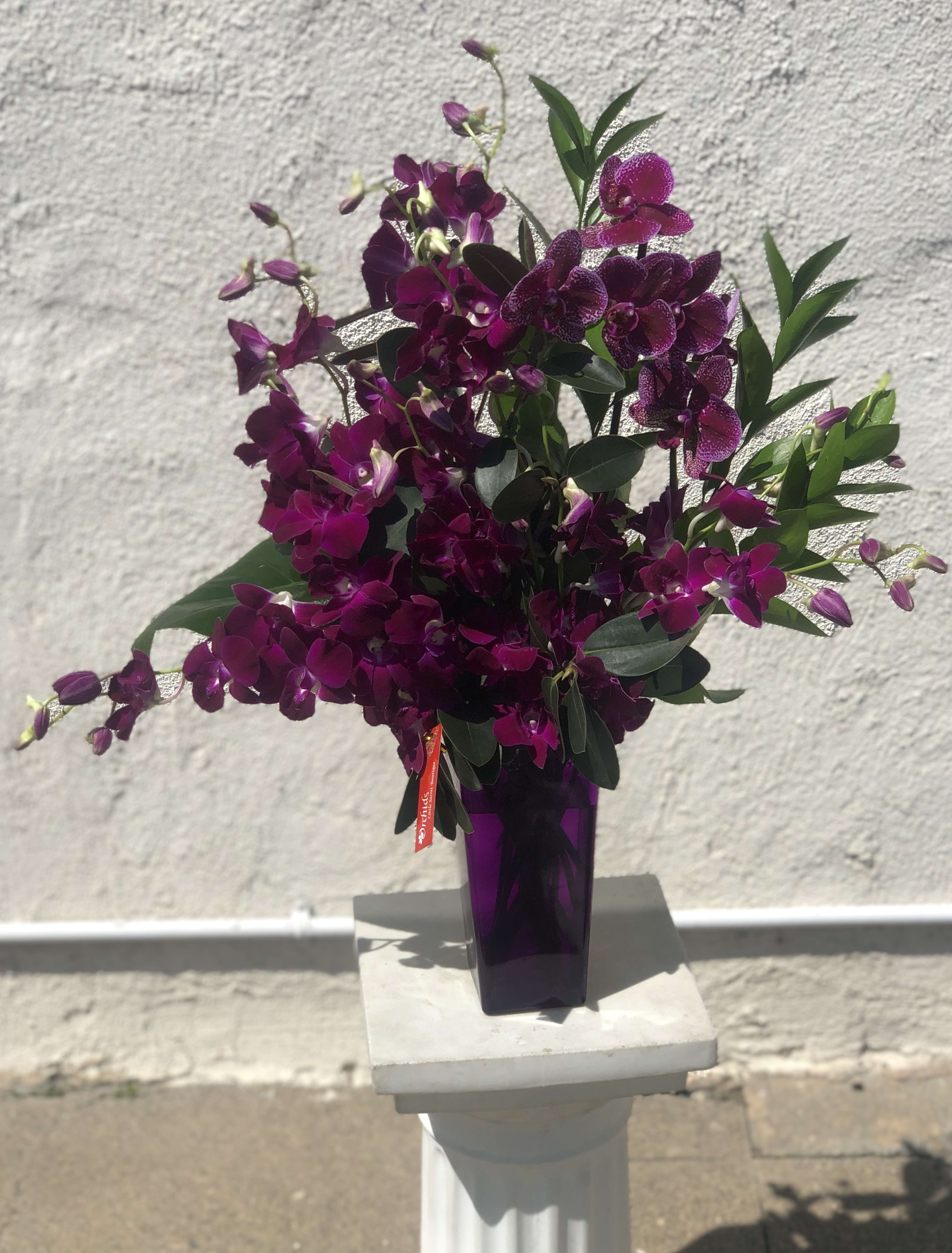Exotic Purple Gift Orchids Arrangement in Placentia, CA Orchids