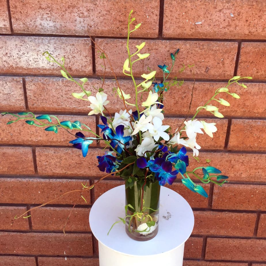 Blue and White Orchids Vase in San Diego, CA House of Stemms