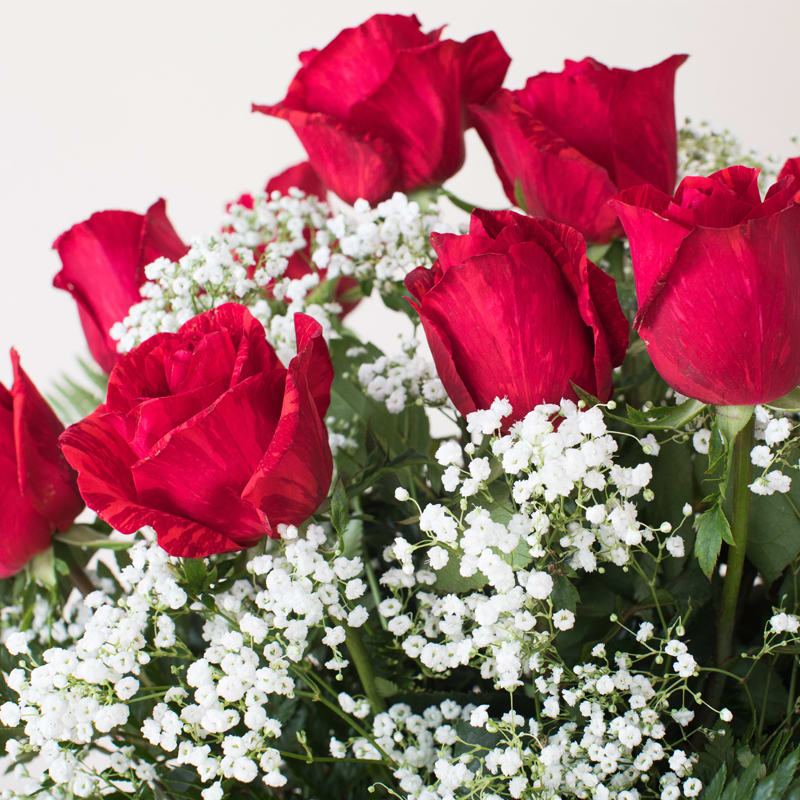 Red Intuition Roses (Only at WFI) in Honolulu, HI Watanabe Floral, Inc.