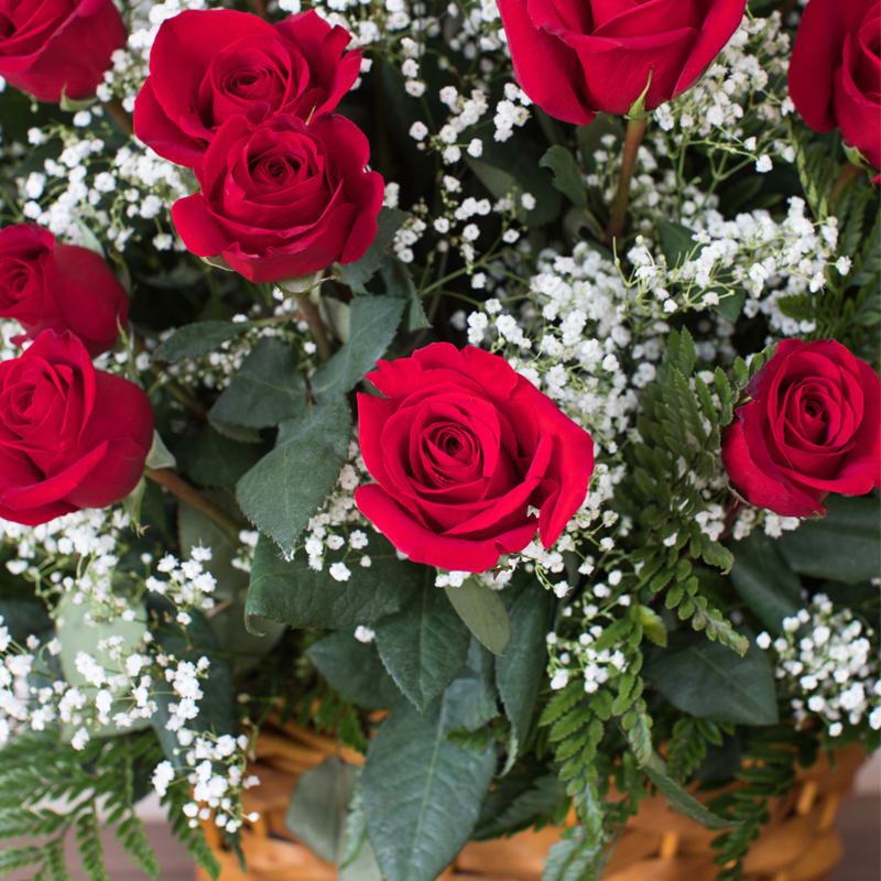 Ultimate Premium Rose Basket (6 Dozen Long Stem Roses) in Honolulu, HI