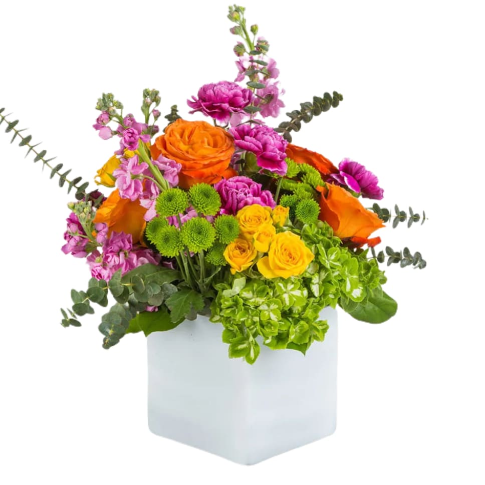 Va Va Bloom in Cliffside Park, NJ Esme Flowers