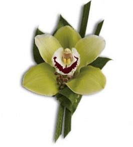 Green Orchid Boutonniere In Encinitas Ca Matteson S Florist