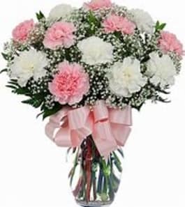 Carnation And Baby S Breath Bouquet Off 70 Buy Carnation And Baby S Breath Bouquet Off 70 Buy