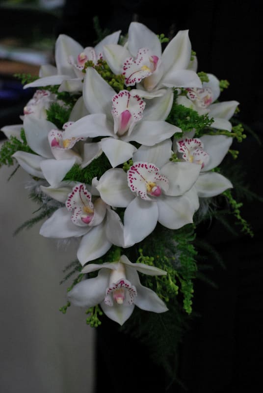 Cymbidium Orchid Boutonniere 