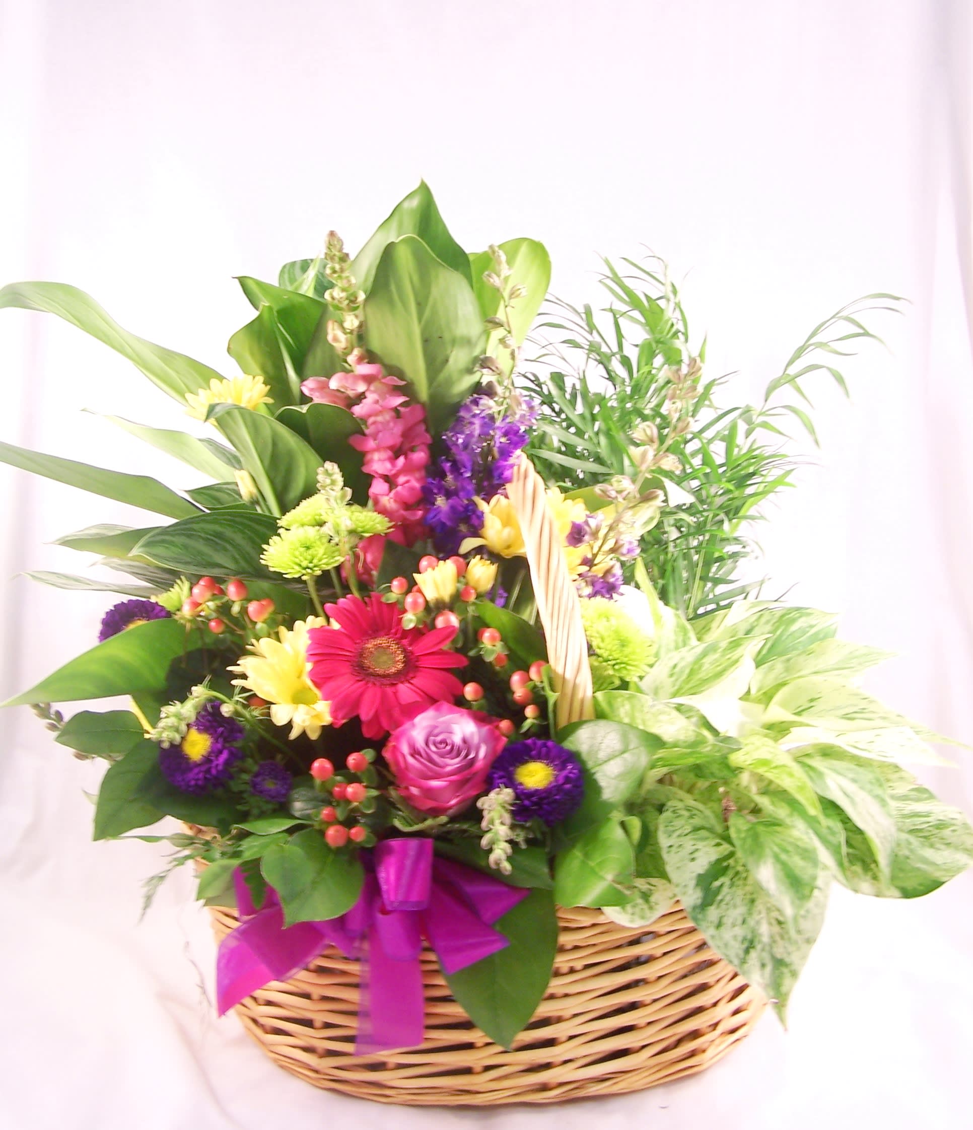 Plant Basket And Bouquet 2 In Anoka Mn Main Floral