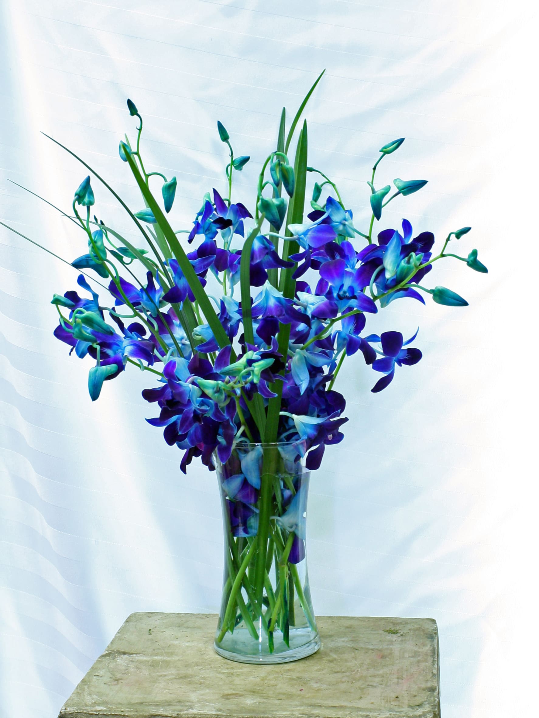 Beautiful Blue Orchids by Crossroads Florist