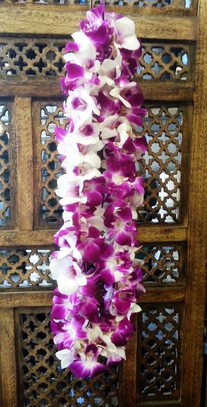 Lei Lei