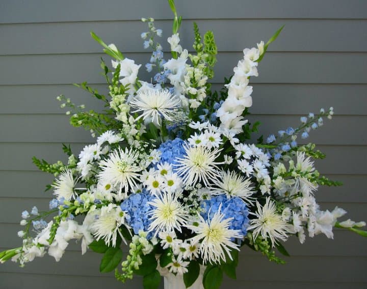 Heaven Sent in Seattle, WA | LaVassar Florists