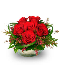 Rosy Red Posy Fsn9 3 In Shawnee Ok Designs Flowers Gifts