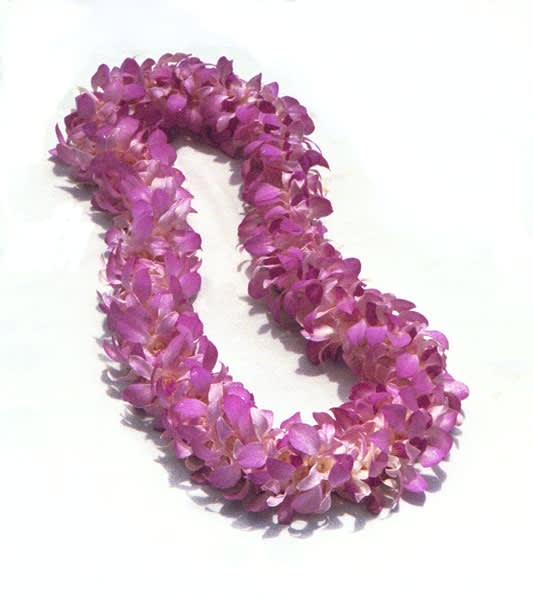 Real Flower Leis For Graduation Best Flower Site