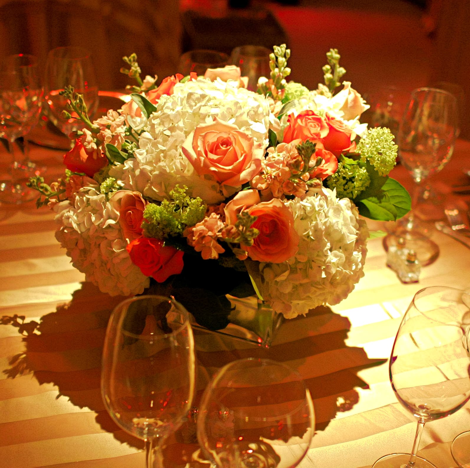 Coral Blush in ALEXANDRIA, VA | FOXGLOVE FLOWERS