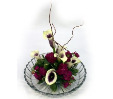 Crystal Callas In Norristown Pa Plaza Flowers