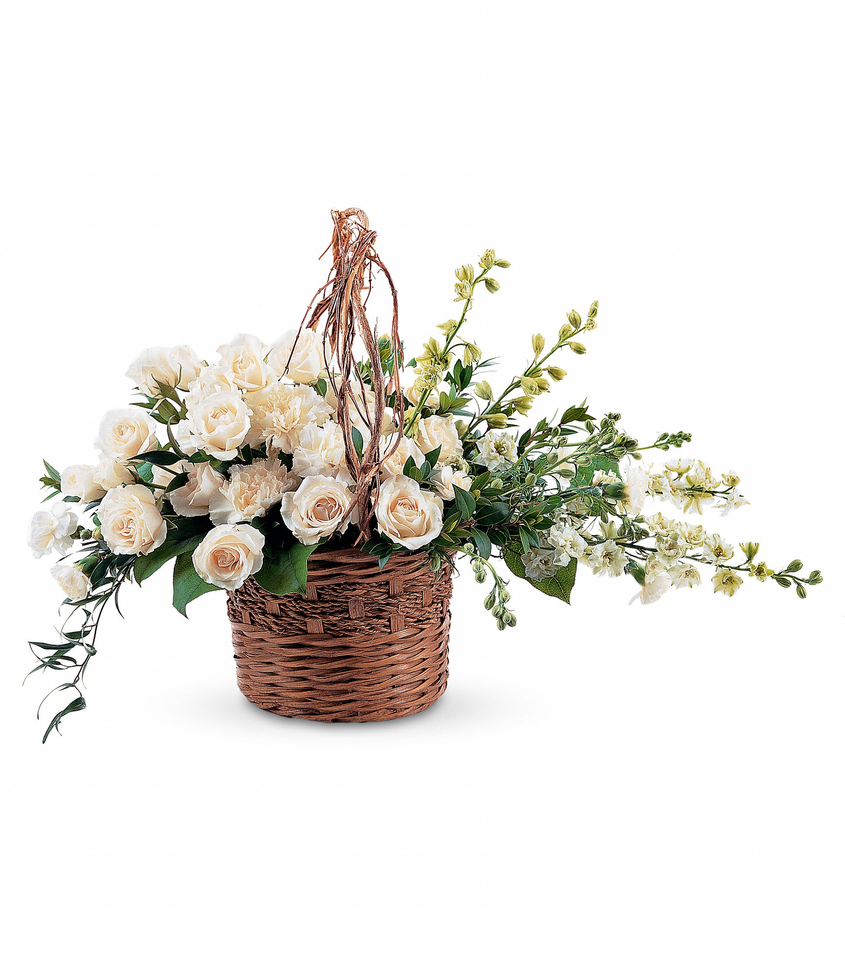 basket of light by