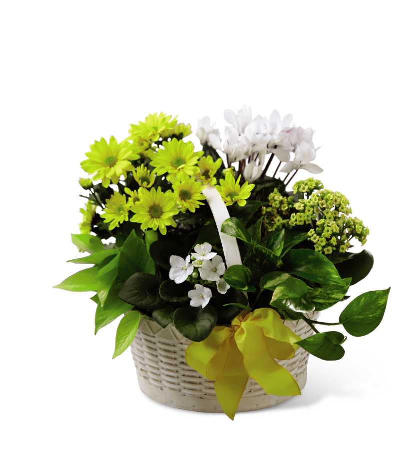 The FTD A Bit of Sunshine Basket in Hutchinson, MN | Crow ...
