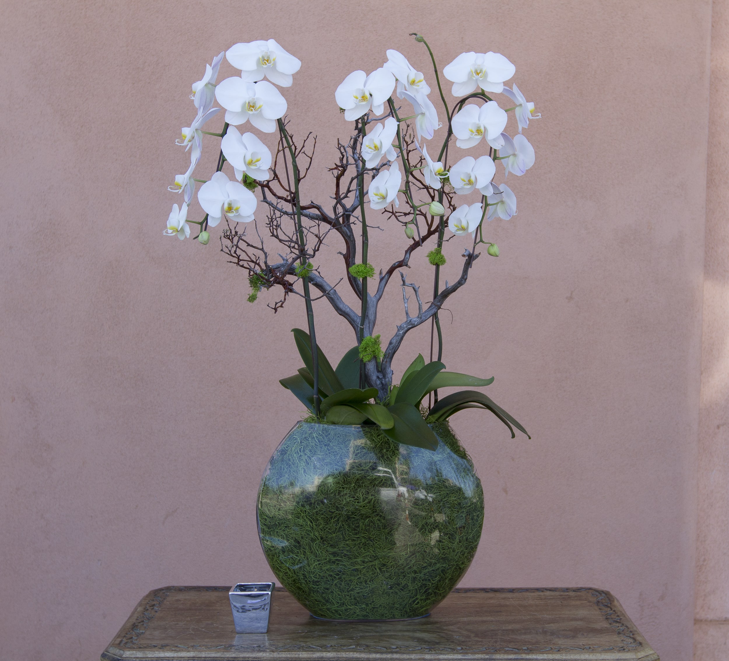 orchid arrangement 27 in Tarzana, CA | Flowers and Designs by Gina