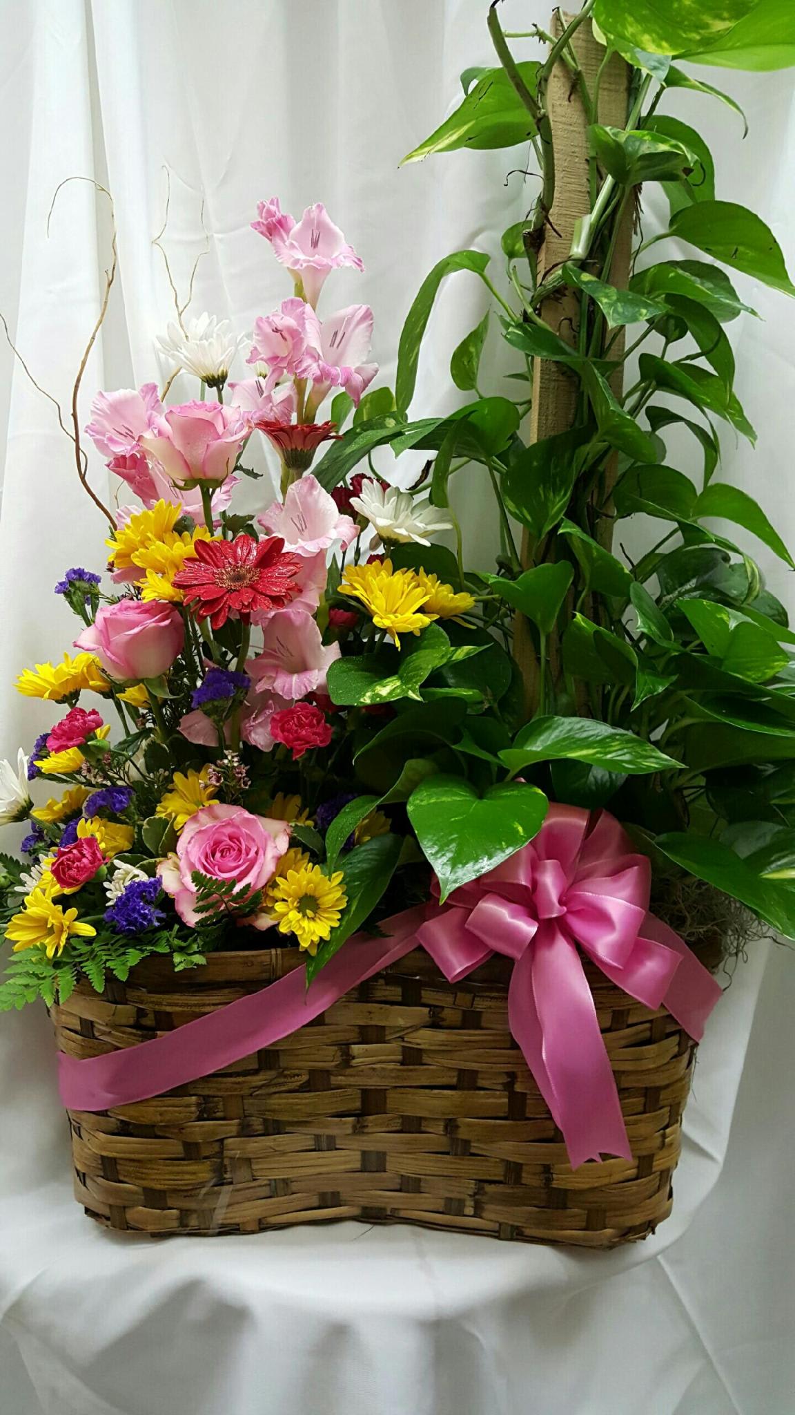 European plant and fresh flower combination in Augusta, GA ...