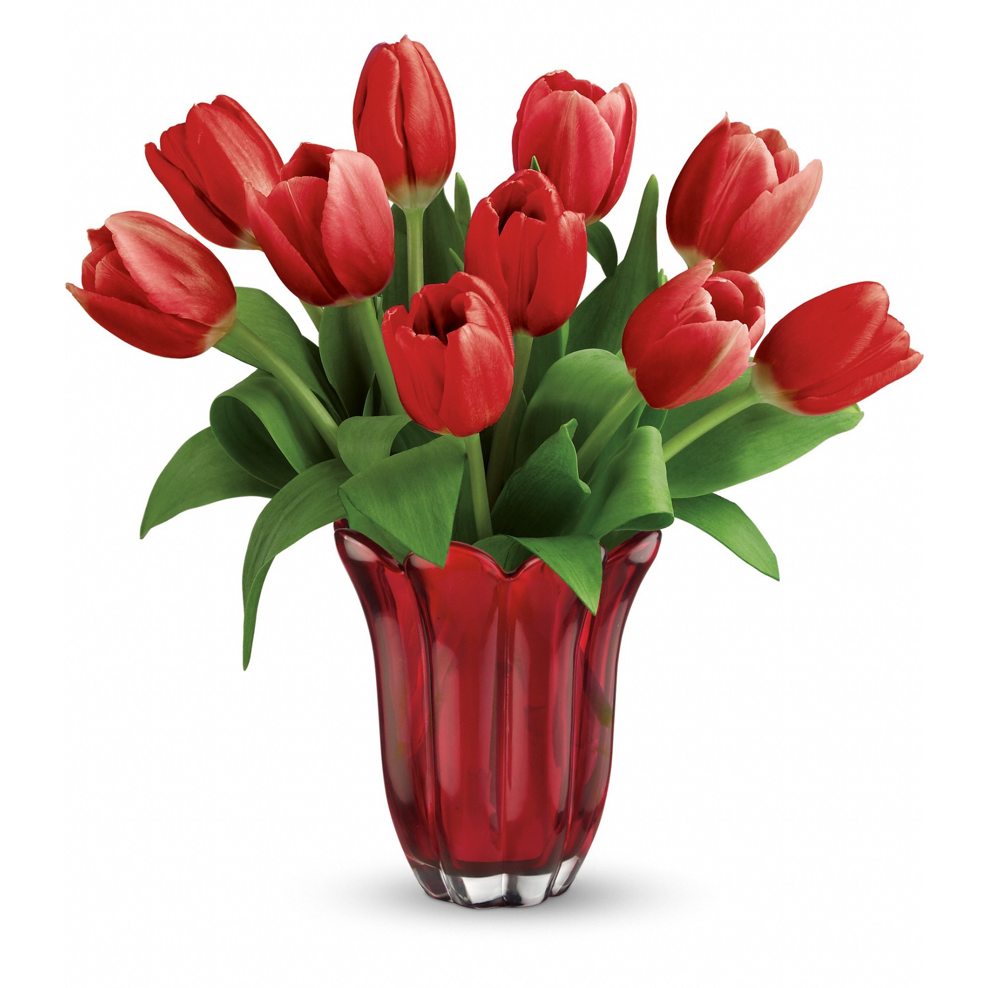 Teleflora's Kissed By Tulips Bouquet in Amityville, NY Southside Florist