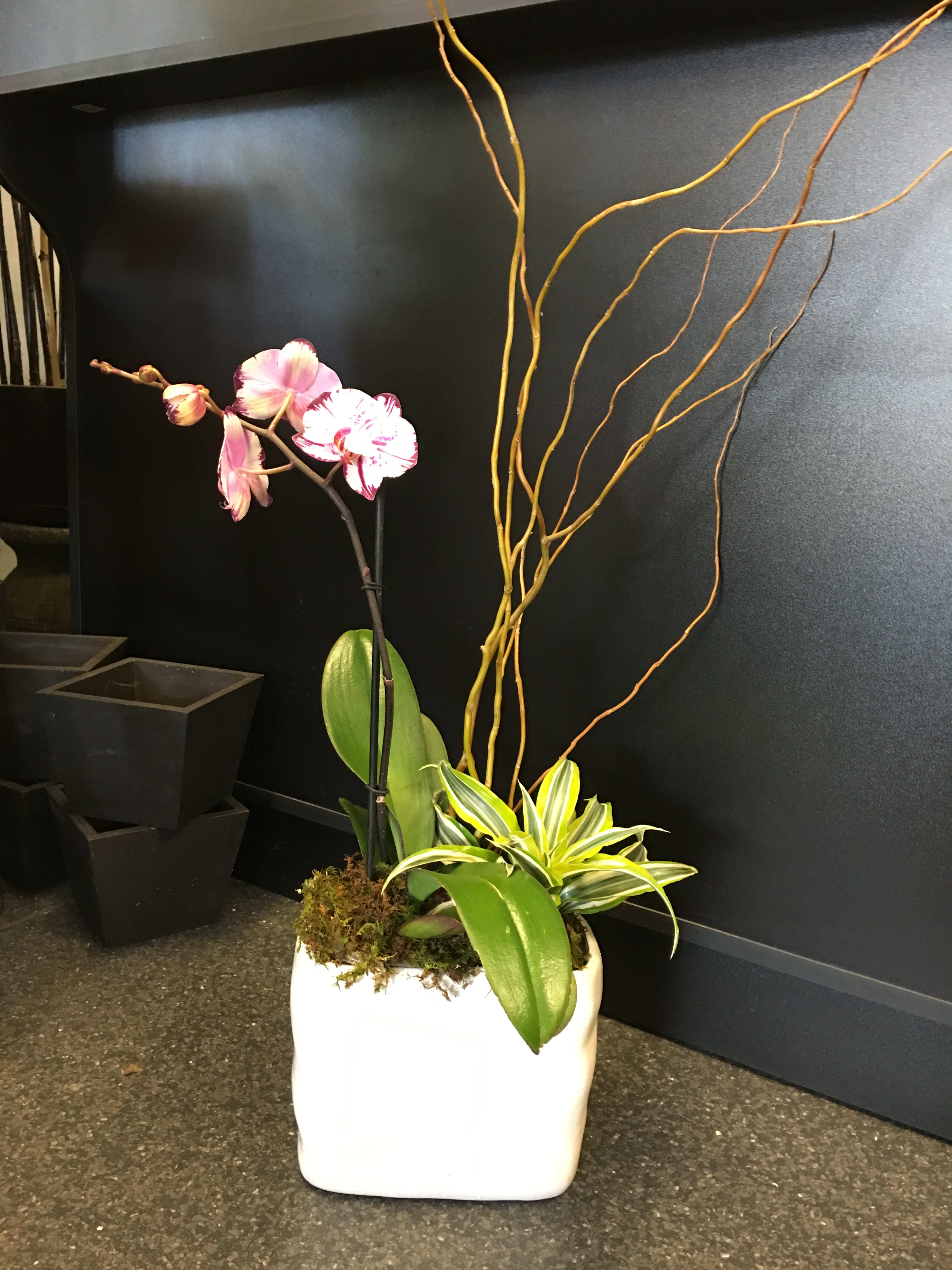 Apologise, but, asian style planters Other asian style planters suggest you