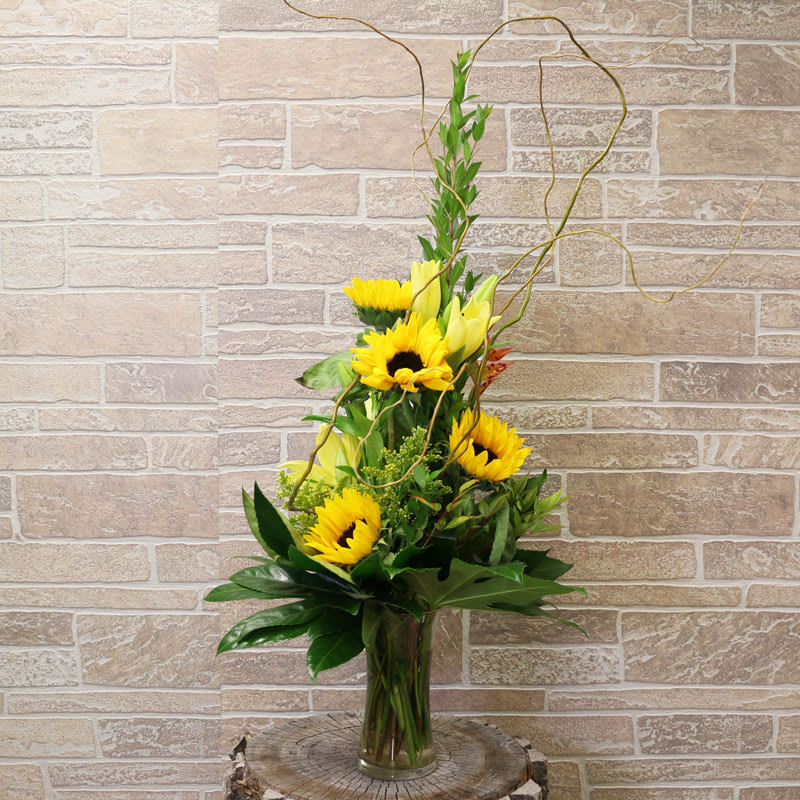 Sunflower Fields in Minot, ND | Flower Central