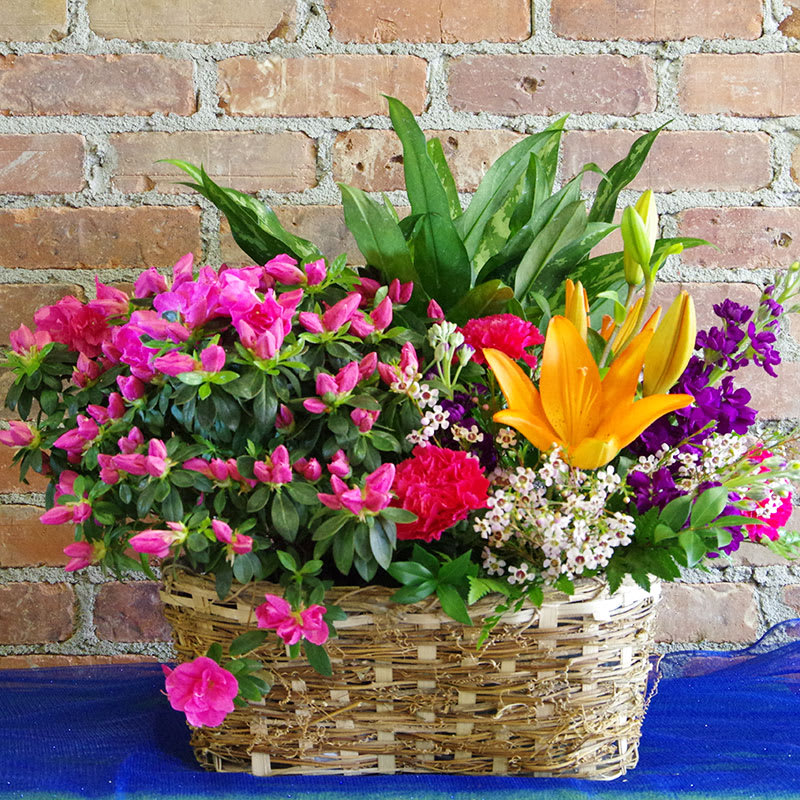Bloomer Triangle Basket in Platte City, MO Platte City Flowers and Gifts