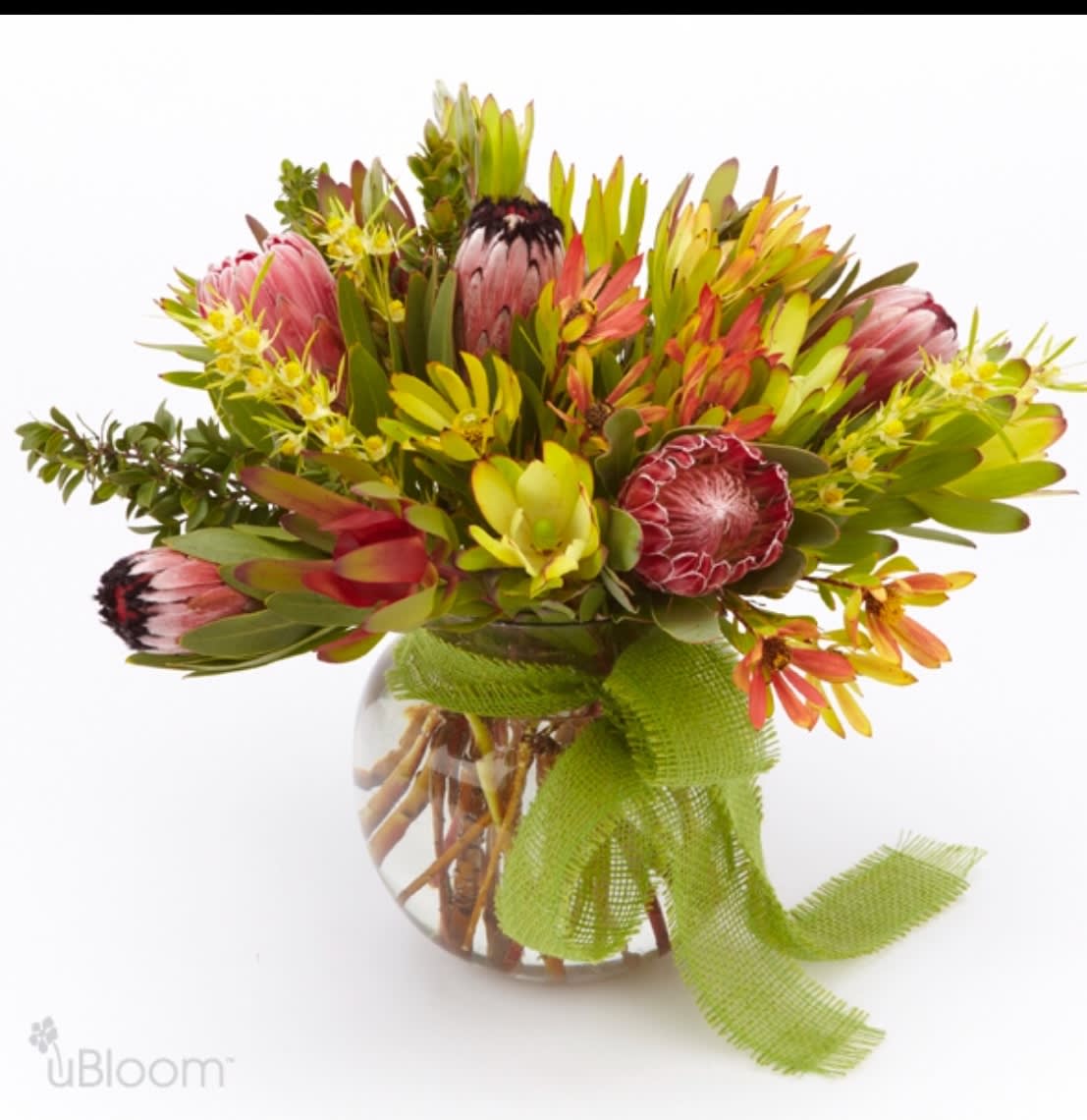 Paradise Forever in Ipswich, MA Ipswich Hearts 'N Flowers