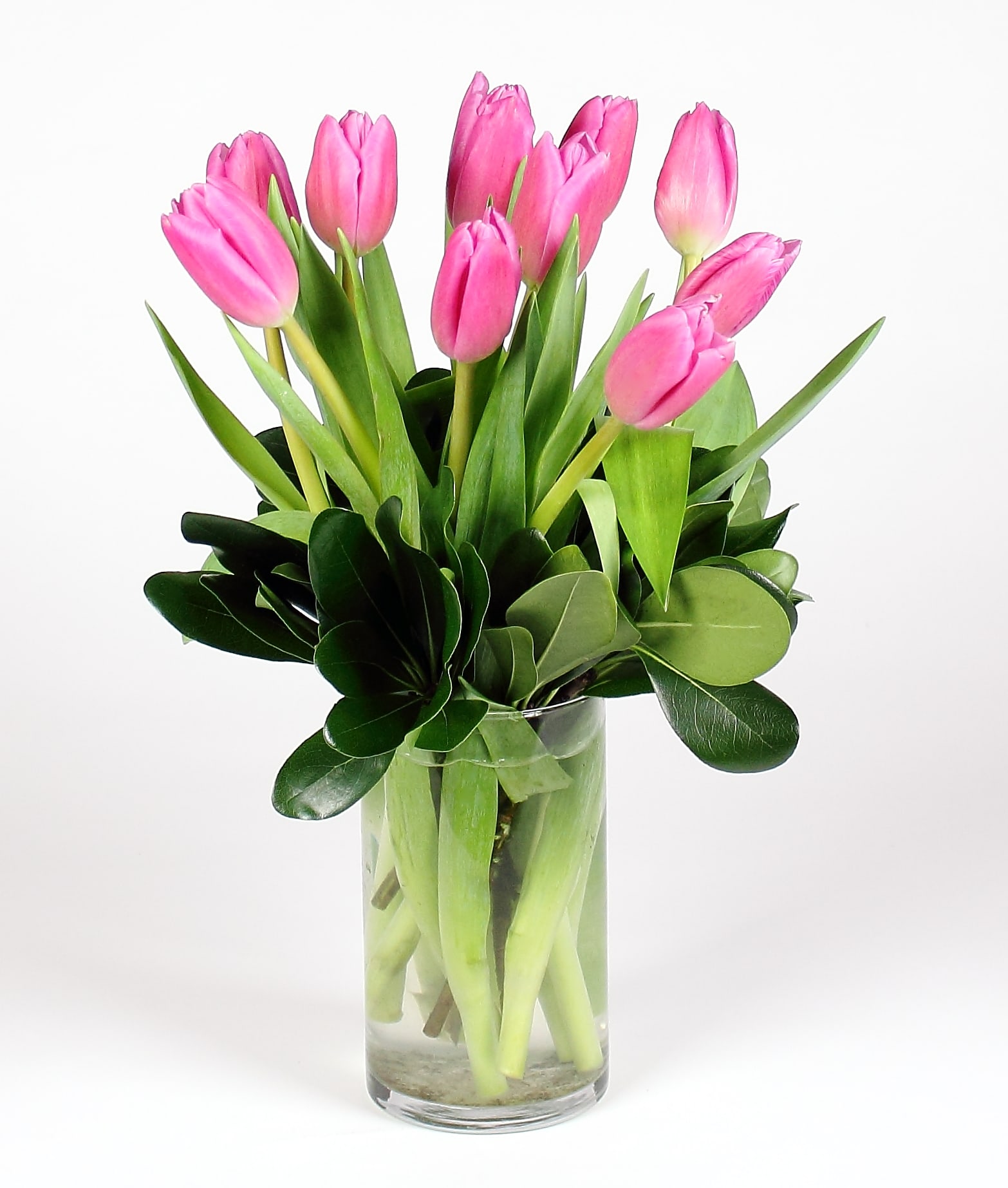 Tulip Lover’s Vase in Saint Paul, MN | Iron Violets Design Studio