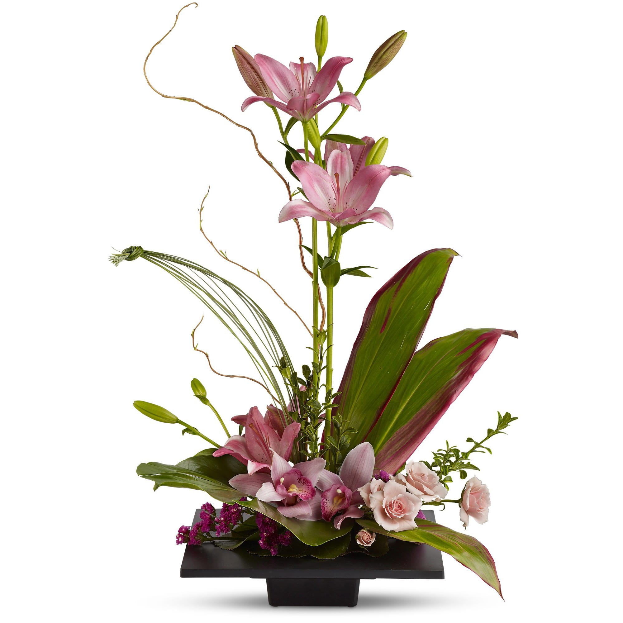Imagination Blooms W Cymbidium Orchids By Teleflora In Encinitas Ca Encinitas Florist