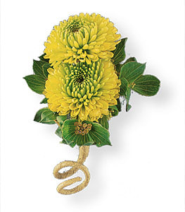 Chrysanthemum Flower Green - Best Flower Wallpaper