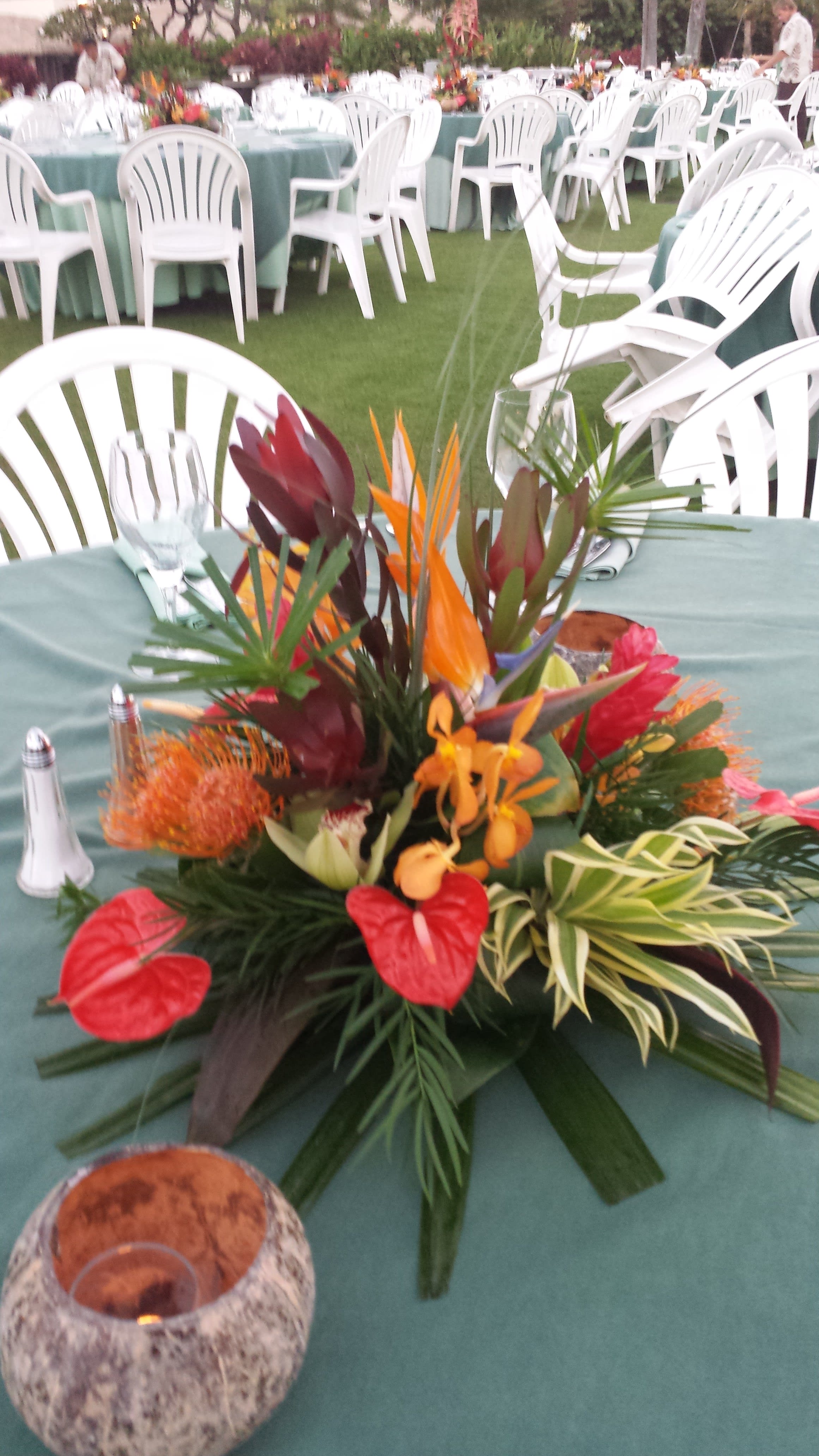 Tropical Flower Arrangements F05 2399