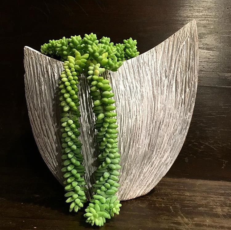Hanging Succulent in Textured Vase in Los Angeles, CA The Juicy Leaf