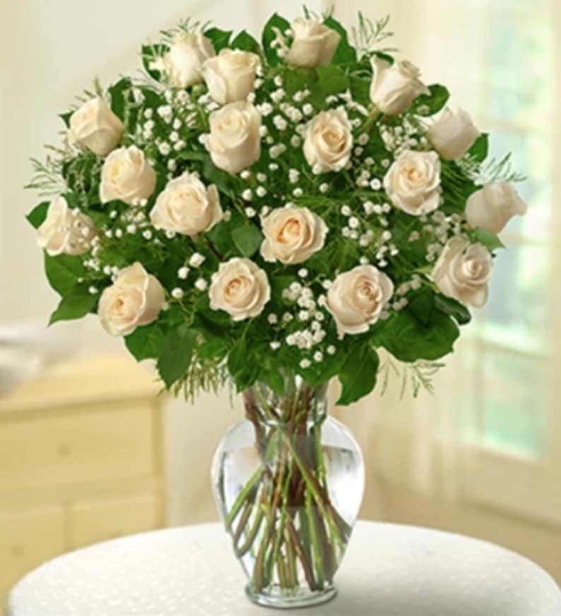 Rose Elegance Premium White Roses in Saint Paul, MN Chenoweth Floral